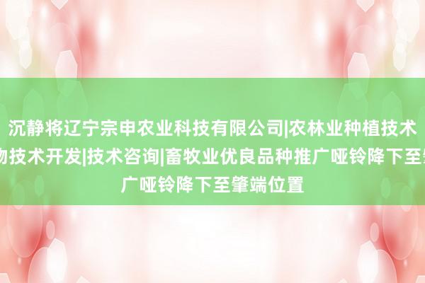 沉静将辽宁宗申农业科技有限公司|农林业种植技术研究|生物技术开发|技术咨询|畜牧业优良品种推广哑铃降下至肇端位置